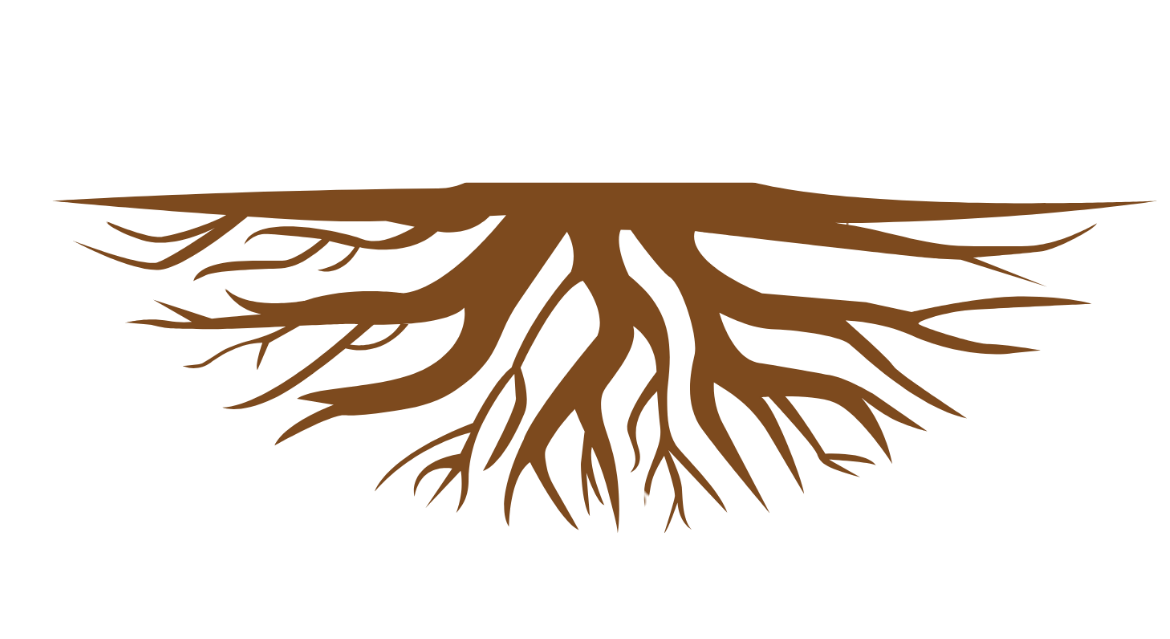 Intégrité